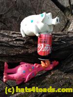 /home//u458753944/public_html/sourcegallery//////////////Chickens/Soda Addiction/IMG_20210116_110929914.jpg